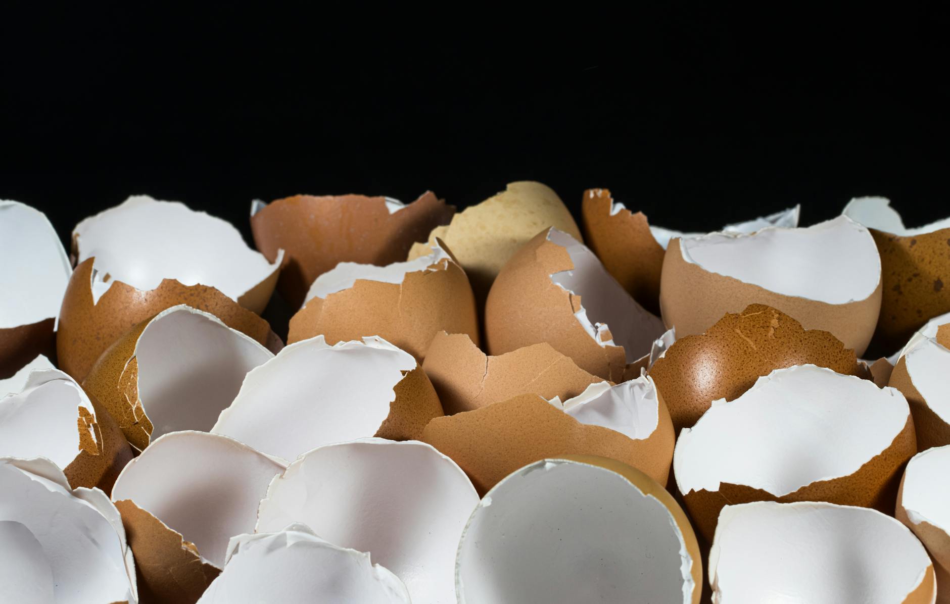 Rozbite skorupki jaj na ciemnym tle jako przykład odpadu bio