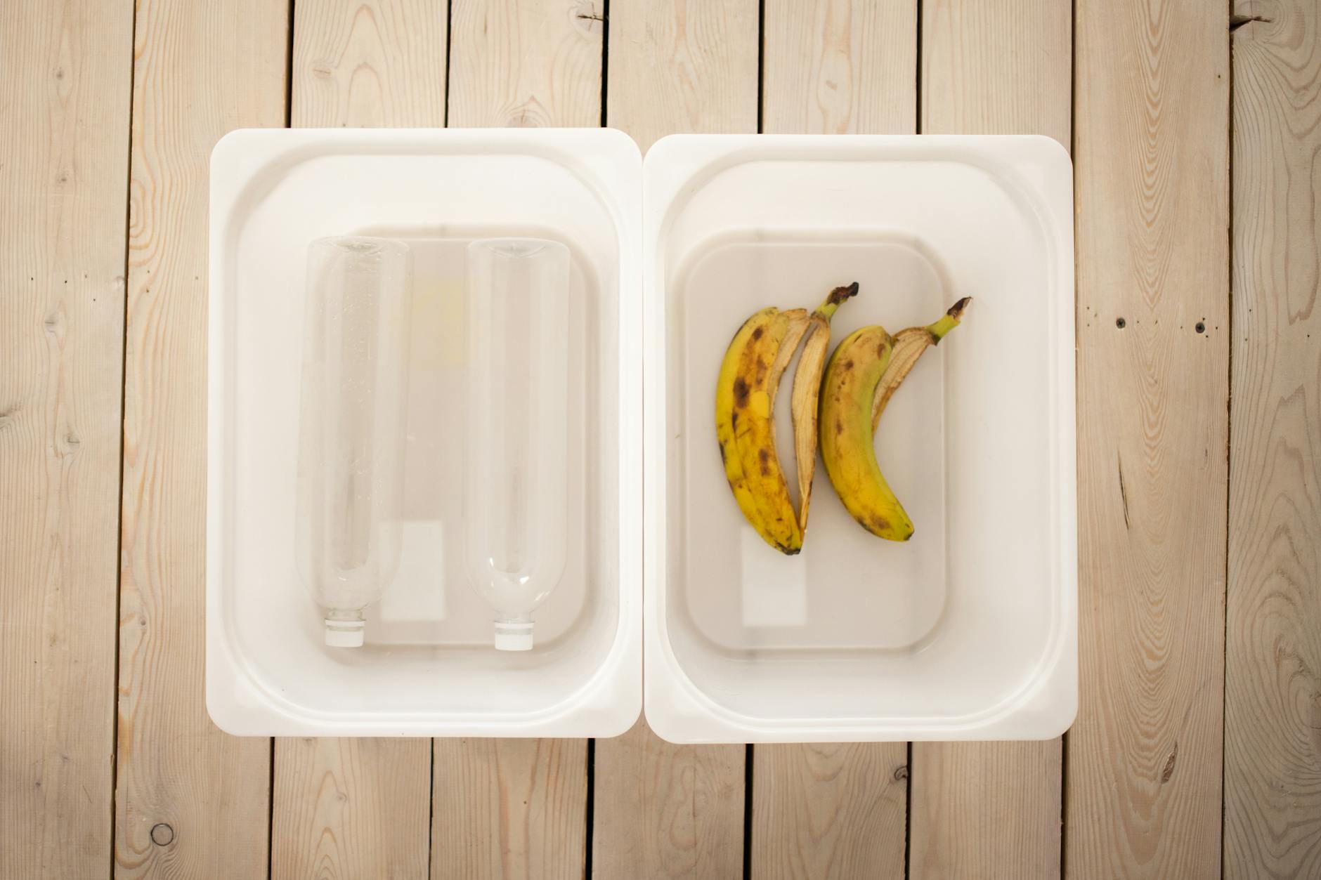Plastikowe butelki i skórki bananów posegregowane do recyklingu i kompostu